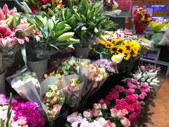 -大自然花鸟鱼虫市场