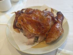 -凯鸽酒楼(操场城店)