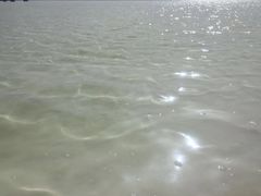 -青海茶卡盐湖文化旅游发展股份有限公司