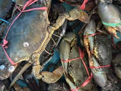 -旗鱼海番村(Orang Asli)