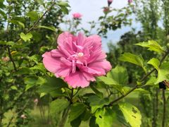 -东方绿舟景区