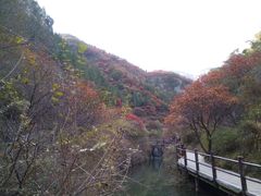 -黄花溪