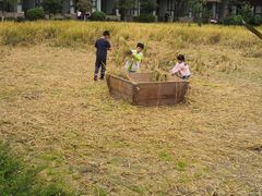 -洪湖家庭农场·团建·露营·会议