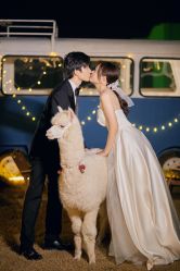 点击看大图 -花漾摄影优选工作室(东莞原创作品店)