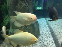 -常州海昌海洋探索馆