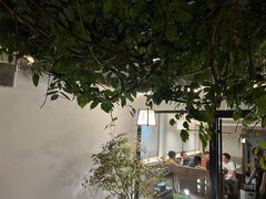 -汤宴·参须肚包鸡(南京路店)