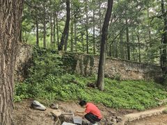 -阳台山自然风景区