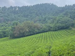 -敬亭山风景名胜区