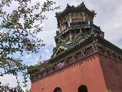 -延庆观
