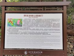 -灵溪风景区