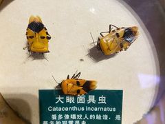 -陕西自然博物馆