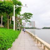 今日份的白鹭洲