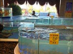水产区-友鹏海鲜(新宜白大道店)