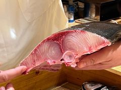 -镹·鱼料理  国产鱼使用店