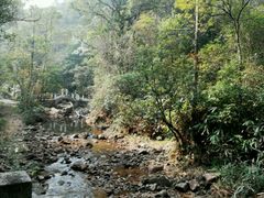 -九龙江国家森林公园