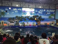 -石家庄极地海洋世界