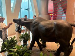 -华西龙希国际大酒店旅游观光景区