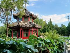 -莲池书院博物馆