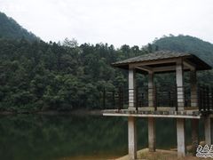 -广州市石门国家森林公园