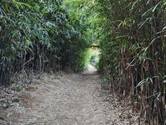 -大罗山风景区
