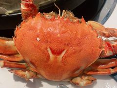-半岛听涛蒸汽海鲜自助(K11店)