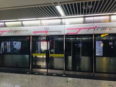 -大龙山(地铁站)