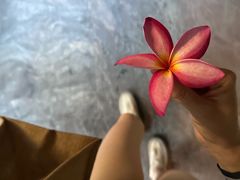 -海南清水湾莱佛士酒店