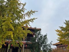 -南京市江宁方山