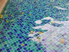 -亚马逊丛林水乐园