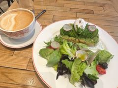 -Elephant Grounds(STARSTREET)