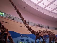 -陕西自然博物馆