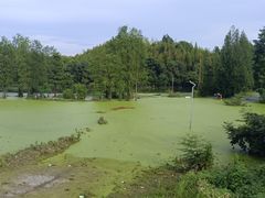 -青山湖景区