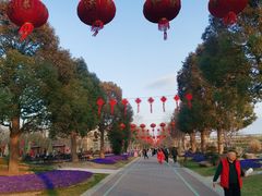 -南通洲际绿博园