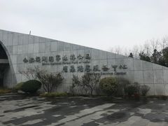 -合肥滨湖国家森林公园