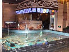 -水晶之星洗浴温泉汗蒸