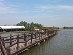 -西青郊野公园