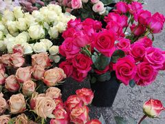 -循礼门鲜花花市(武汉循礼门店)