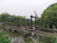 -长兴太湖图影湿地文化园