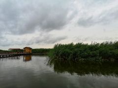 -乌梁素海景区