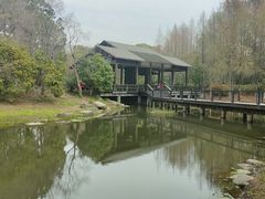 -长广溪湿地公园