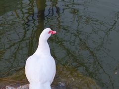 -三里河公园