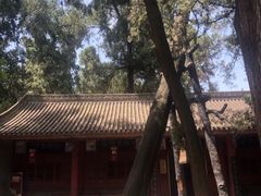 -武侯墓风景区