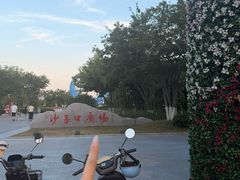 -单家老院·院子里的青岛菜(沙子口店)