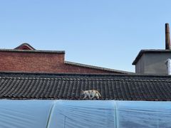-五台山风景区