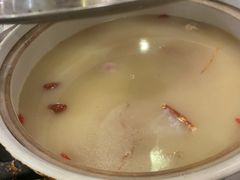 -鸽鸟轩(石岐店)