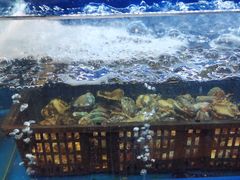 -芭菲盛宴·环球美食(北城国际店)