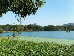 -西湖外事游船(花港观鱼码头)