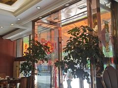 -野菌园·野生菌火锅首创第一家(关兴路总店)