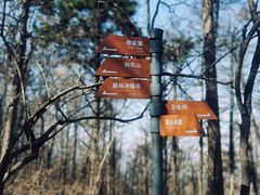 -沂蒙山旅游区云蒙景区(蒙山国家森林公园)