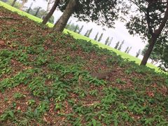 -麦里芝蓄水池